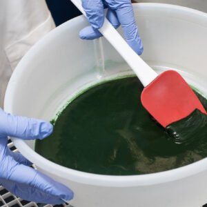 CosechandoEspirulinaFresca